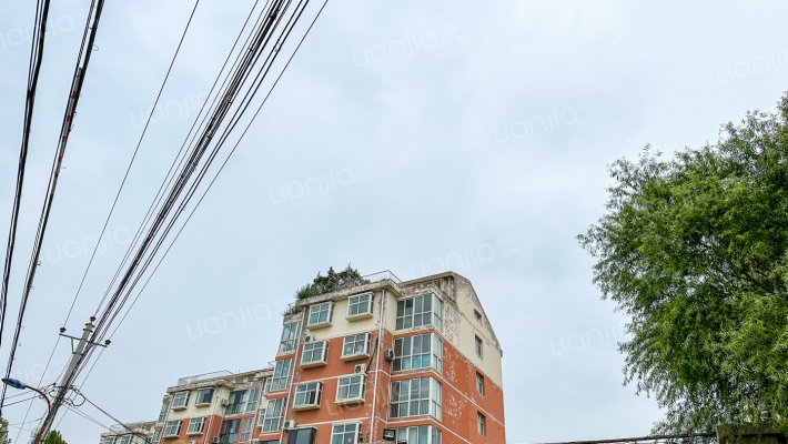 南国风光外景图