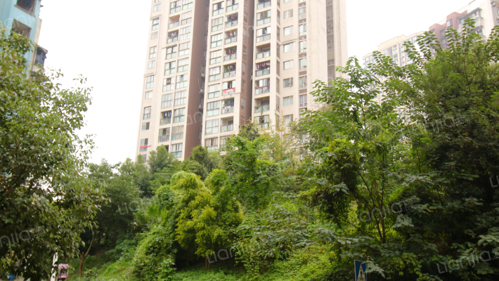 金悦熙城外景图