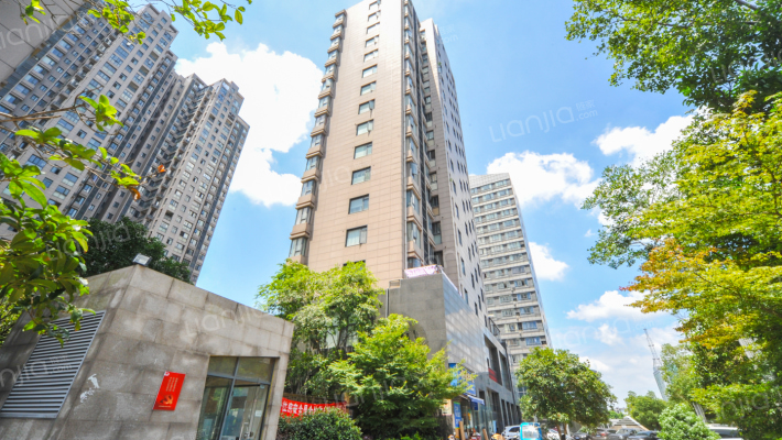 巨成金山街外景图