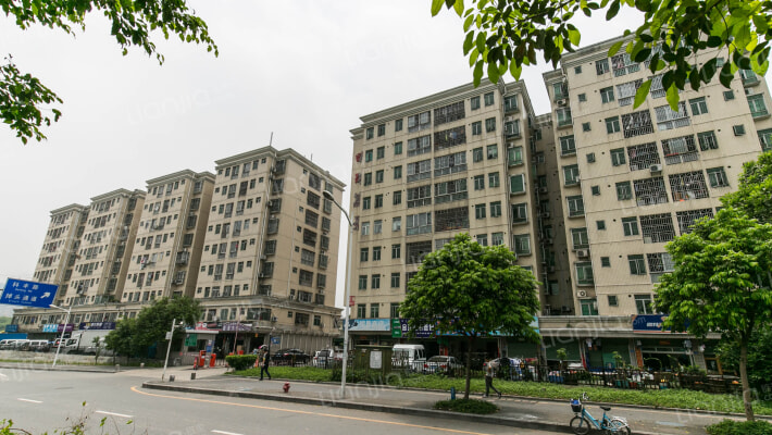 明珠荔景外景图