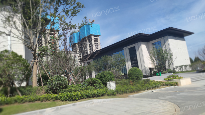 龙湖和棠外景图