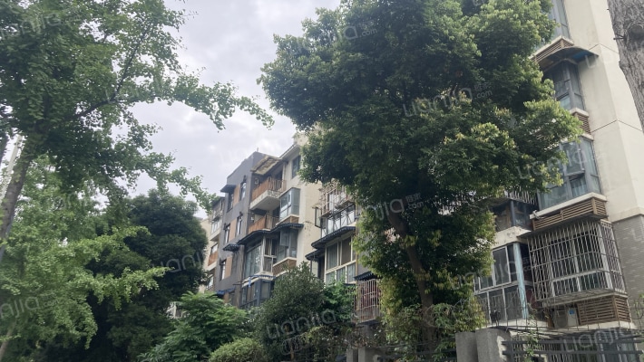 华林西苑外景图