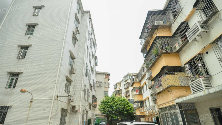 新园路33号外景图