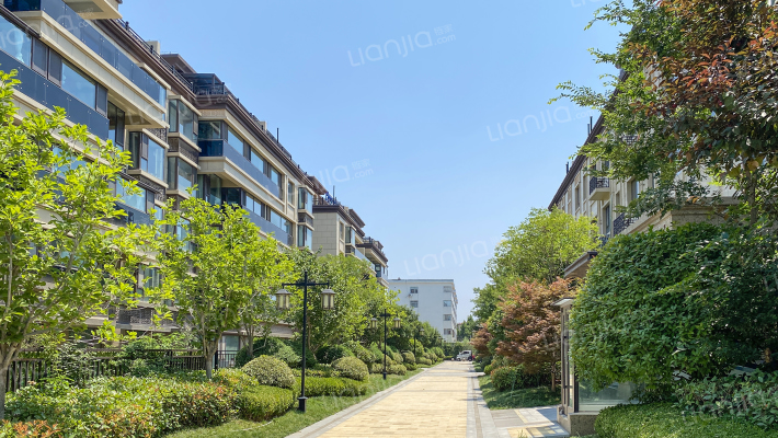 邦泰天璞外景图