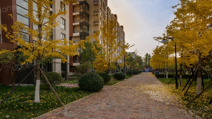 北京风景68号院外景图