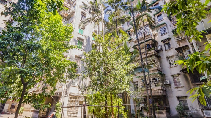 和平新村外景图