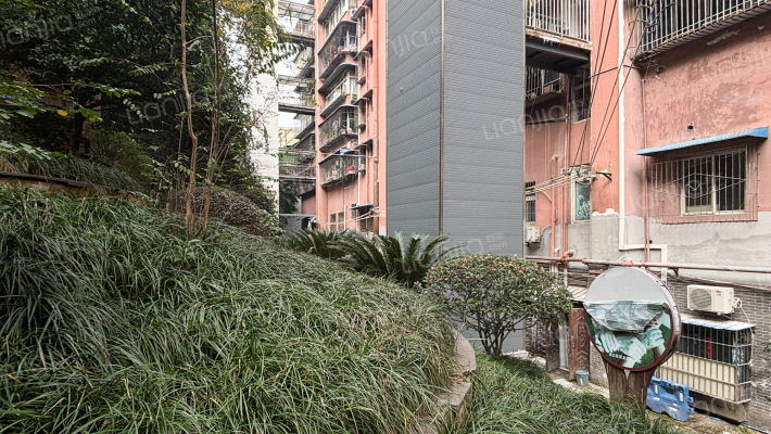 锦湖路62号外景图