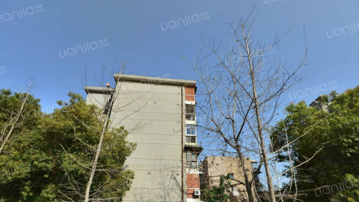 梨园医院家属区外景图