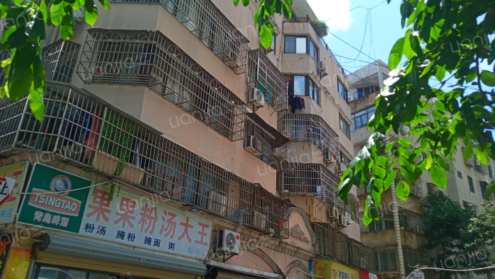 湖景公寓外景图