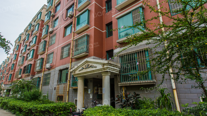 陽光地带外景图