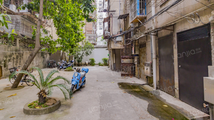 东街街道大根社区外景图