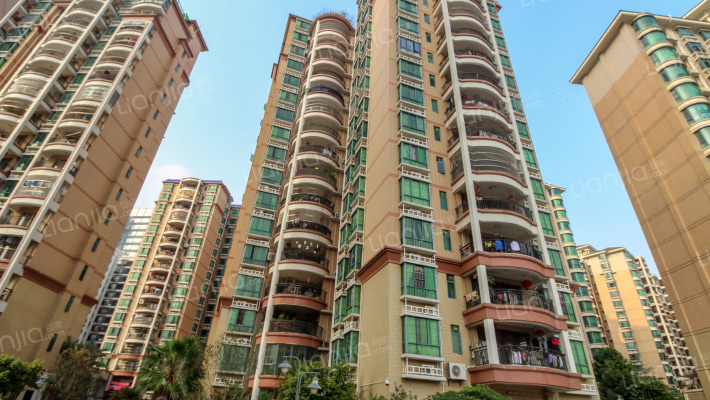 碧富花园外景图