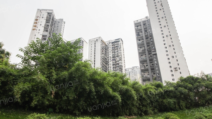 雪梨澳乡外景图