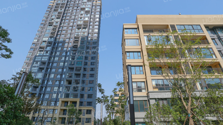 金辉优步花苑外景图