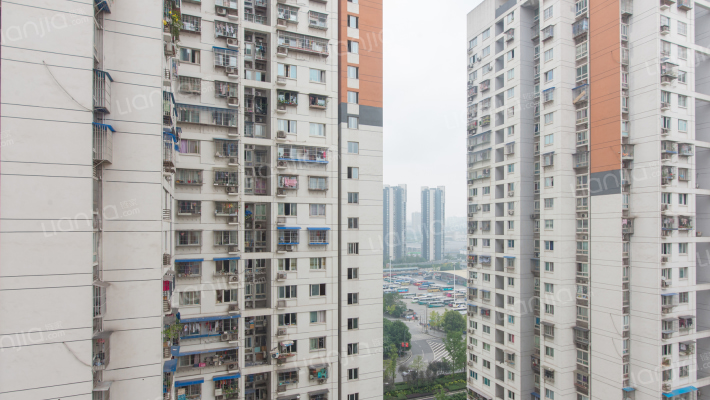 泰山大道东段28号外景图