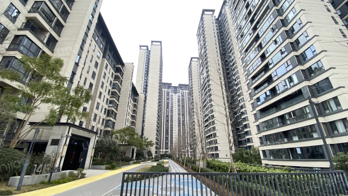 锦官天宸外景图