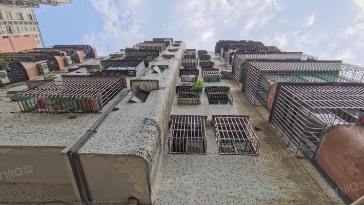 荷城映月外景图