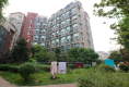 东郊小镇第四街区11