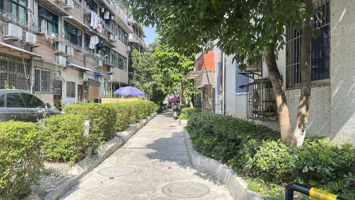 龟湖路一百九十七弄外景图