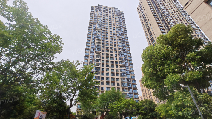 绿都云和湖外景图