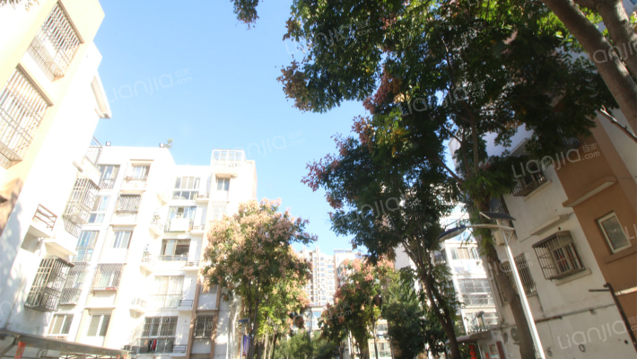 八林新寓一期外景图