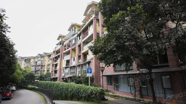 金鼎龙泉外景图