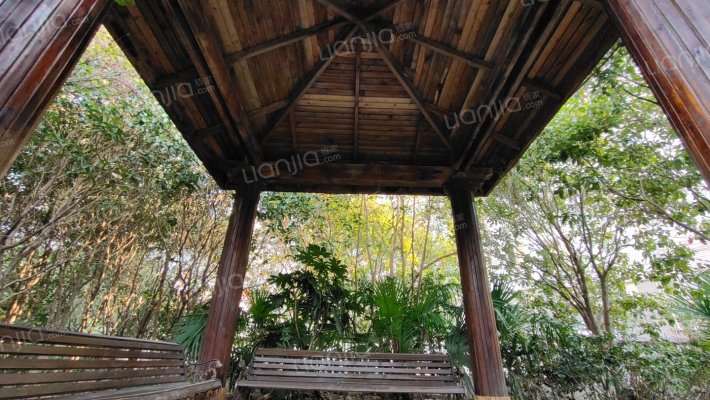 兴林公寓外景图