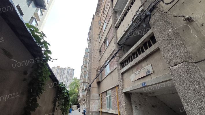 一只船小学家属院外景图