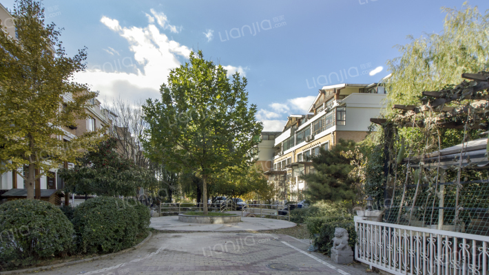 珠江国际城八区