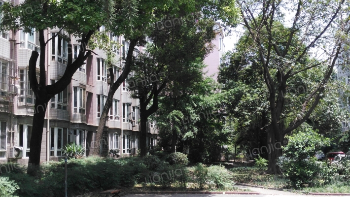 香木林花园外景图