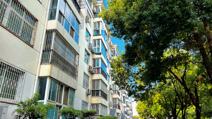 财政局家属院外景图