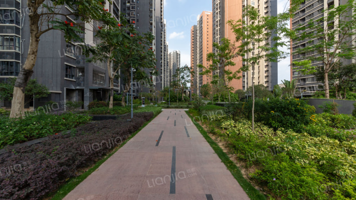 云峰天赋外景图