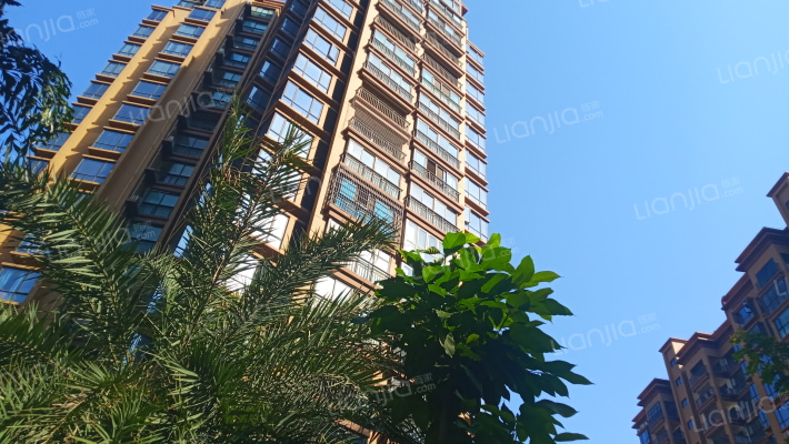 海岸赛拉维外景图