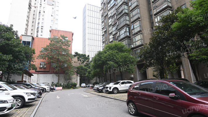 盛世荷园外景图