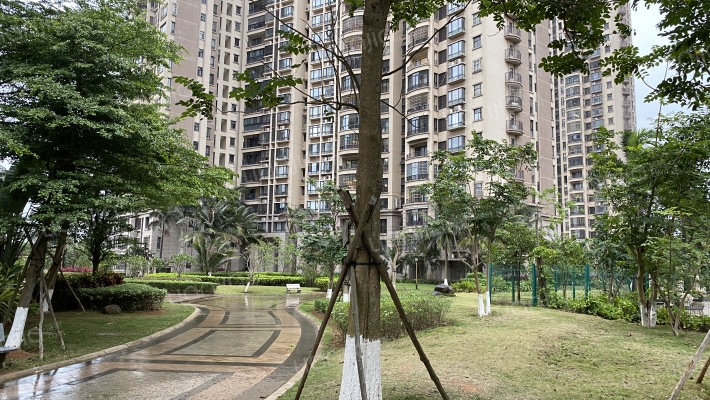 和风江岸外景图