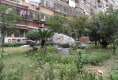 雅典花园0