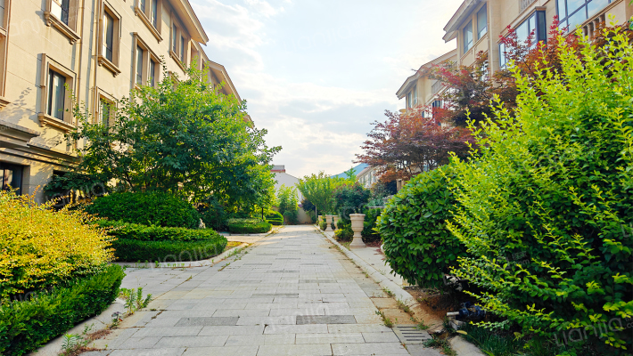 康源逸景外景图