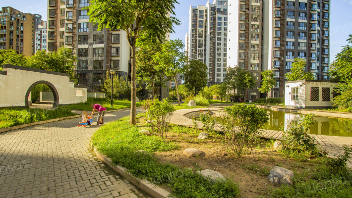 中房.馨园外景图