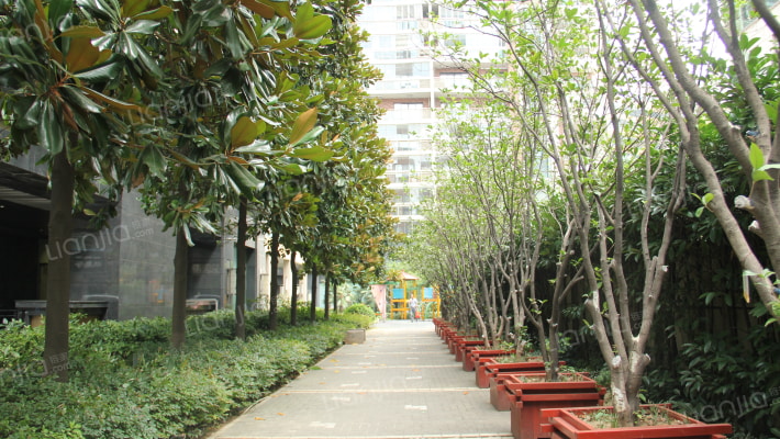 金鹰国际花园外景图