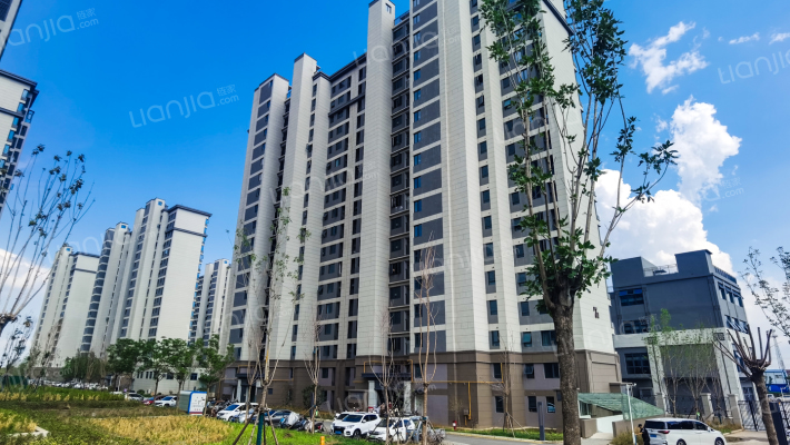 双洎河安置区外景图