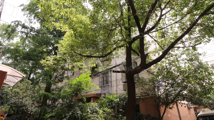 锁金村6至10号外景图