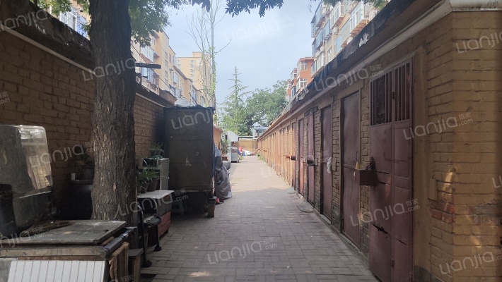 丛东街道中煤社区新春厂街16号院外景图