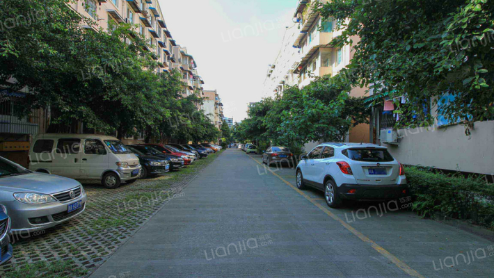 新雅中街52号外景图