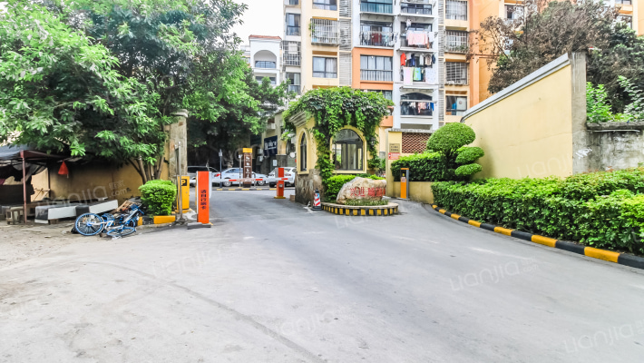 兴进曦镇外景图