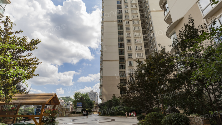 康桥水乡外景图