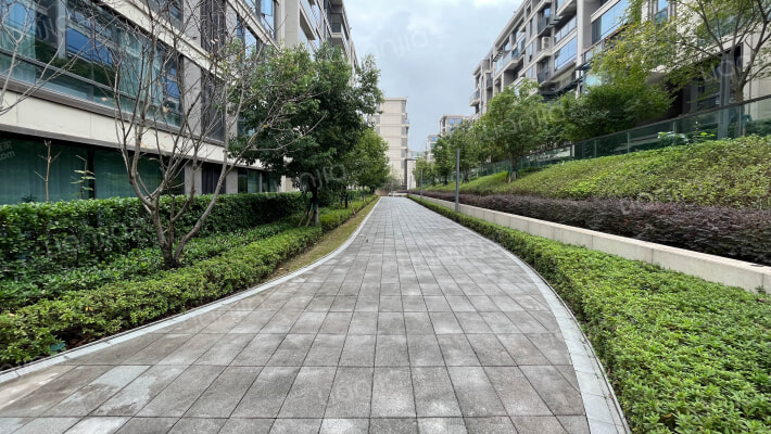 金科美的原上A组团外景图