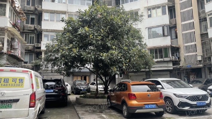 井巷子2号外景图