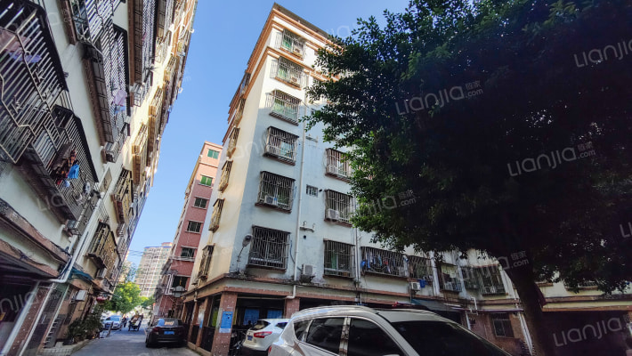 金保花园外景图