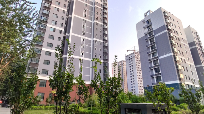 新都公园里外景图