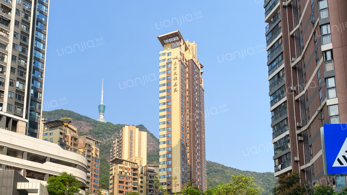 东方凤雅名苑外景图